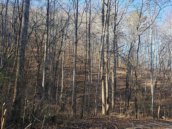 4th image of 0 Daus Mountain Rd