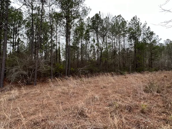 0 Plantation Dr, Soperton, GA 30457