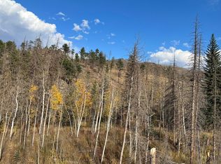 11 Monument Gulch Way, Bellvue, CO 80512