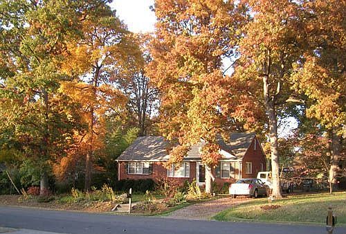 8718 Fall
