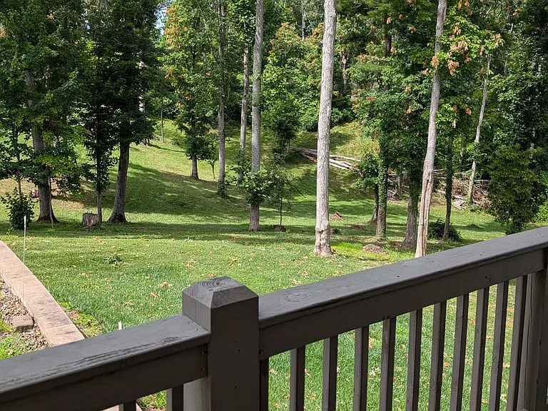 View From Deck
