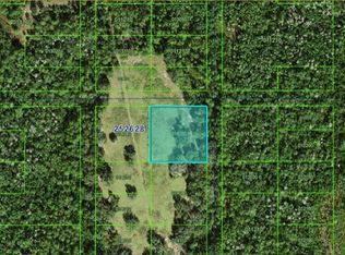 Commonwealth Ave N, Polk City, FL 33868