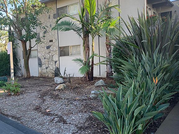3rd image of 663 Eucalyptus Ave