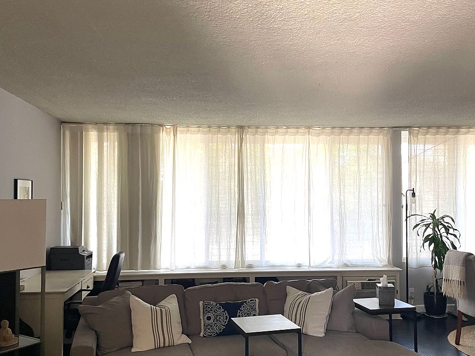 Living room w/ wall of windows! Beautiful natural light!