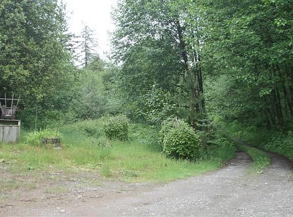 driveway up to house