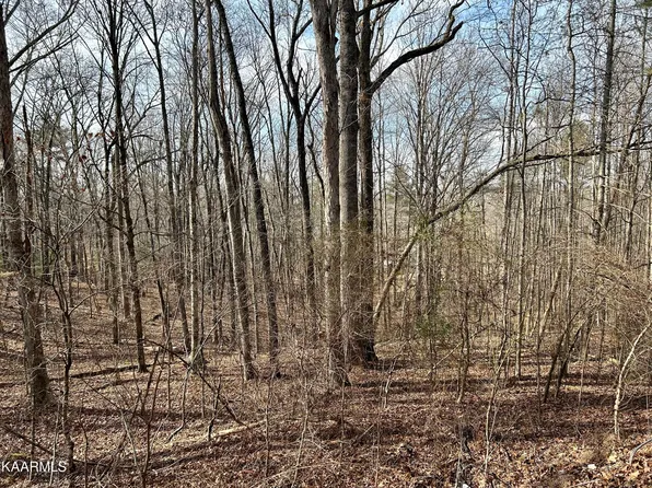 Ridge Rd, Kingston, TN 37763