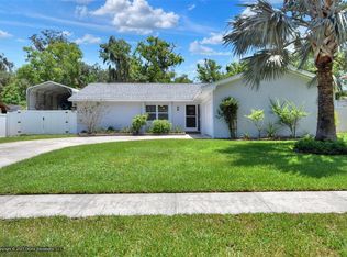 907 Winchester Ln, Valrico, FL 33594