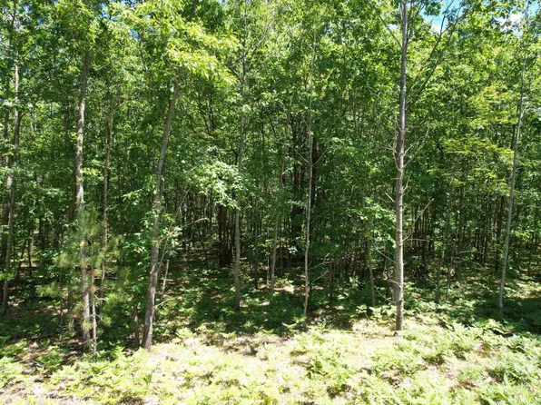 2966 W Houghton Lake Rd, Lake City, MI 49651