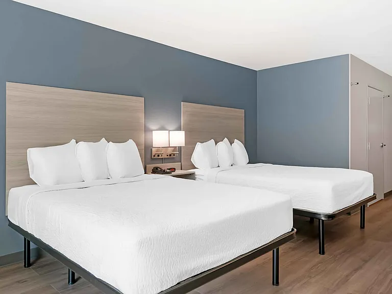 Studio Suite - 2 Queen Beds