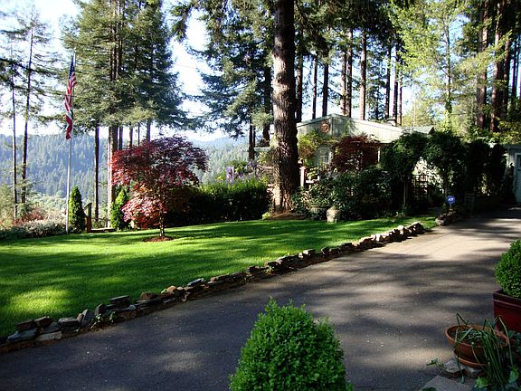 Front yard driving through wrought iron gates