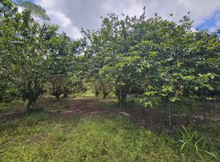 34th Ave Lot 12, Kurtistown, HI 96760