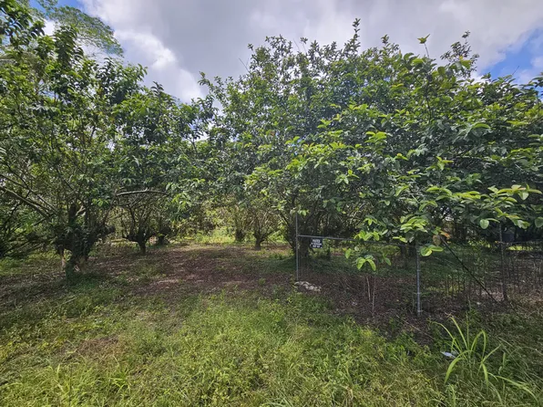 34th Ave Lot 12, Kurtistown, HI 96760