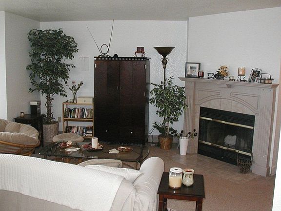 Living room with wood burning fireplace