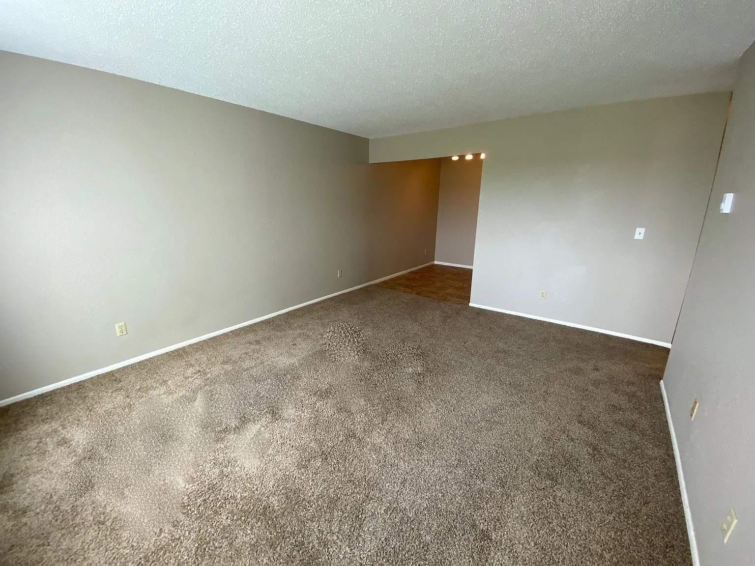 315 Fern St — Photo 3