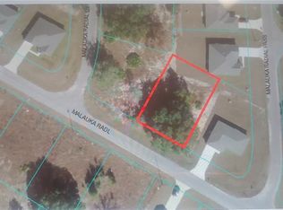 Malauka Radl LOT 2, Ocklawaha, FL 32179