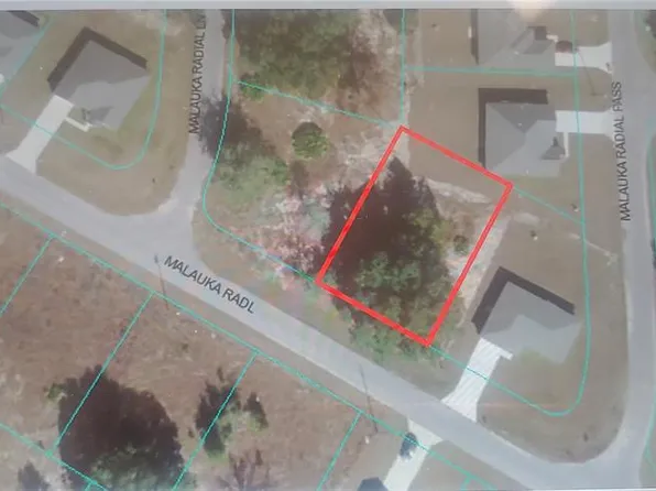 Malauka Radl Lot 2, Ocklawaha, FL 32179