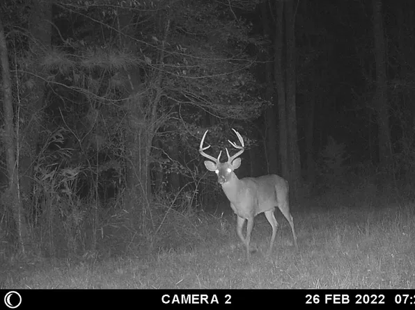 Knox Hill Rd, Ponce De Leon, FL 32455