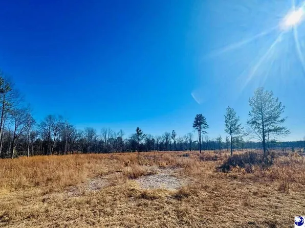 Woodbine Rd, Cheraw, SC 29520