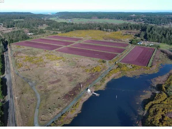 Cranberry Farm, Pt Orford, OR 97465