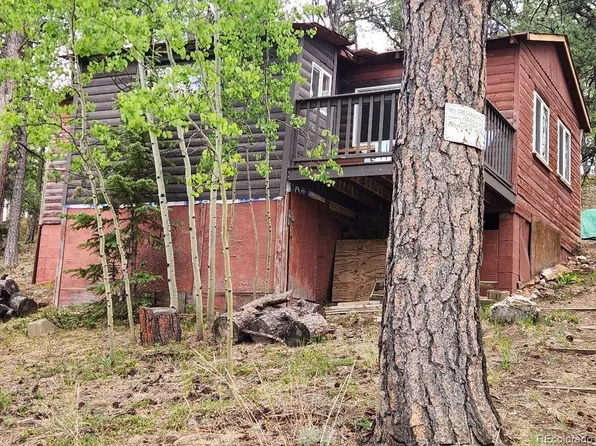 114 Appleby Street, Bailey, CO 80421