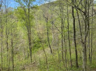 Holden Hollow Rd, Jamestown, TN 38556