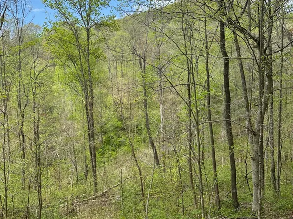 Holden Hollow Rd, Jamestown, TN 38556