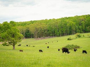 11205 Claxton Rd, Falcon, MO 65470