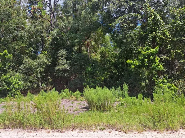 288th St SW, Branford, FL 32008