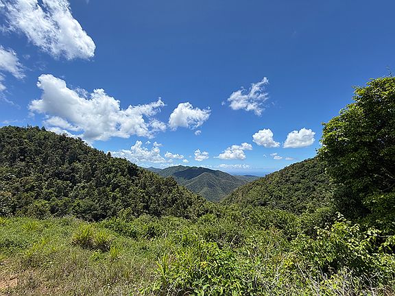 4th image of Paraiso Cercadillo Parcela 31 Finca #7487