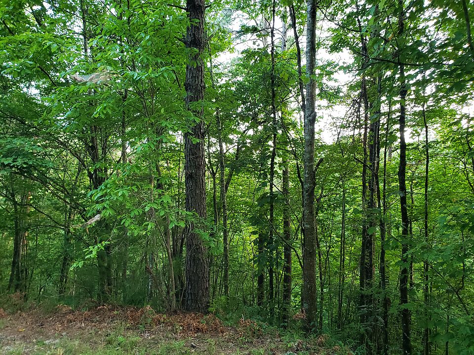 2nd image of LOT 10 Goble Gap Rd Lot 0