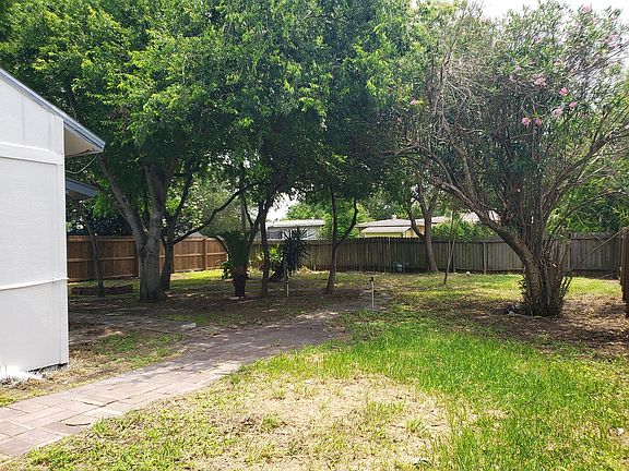 Huge tree covered back yard.