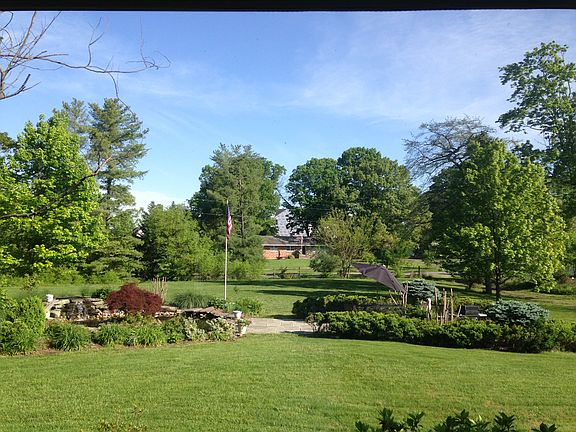 Springtime green grass