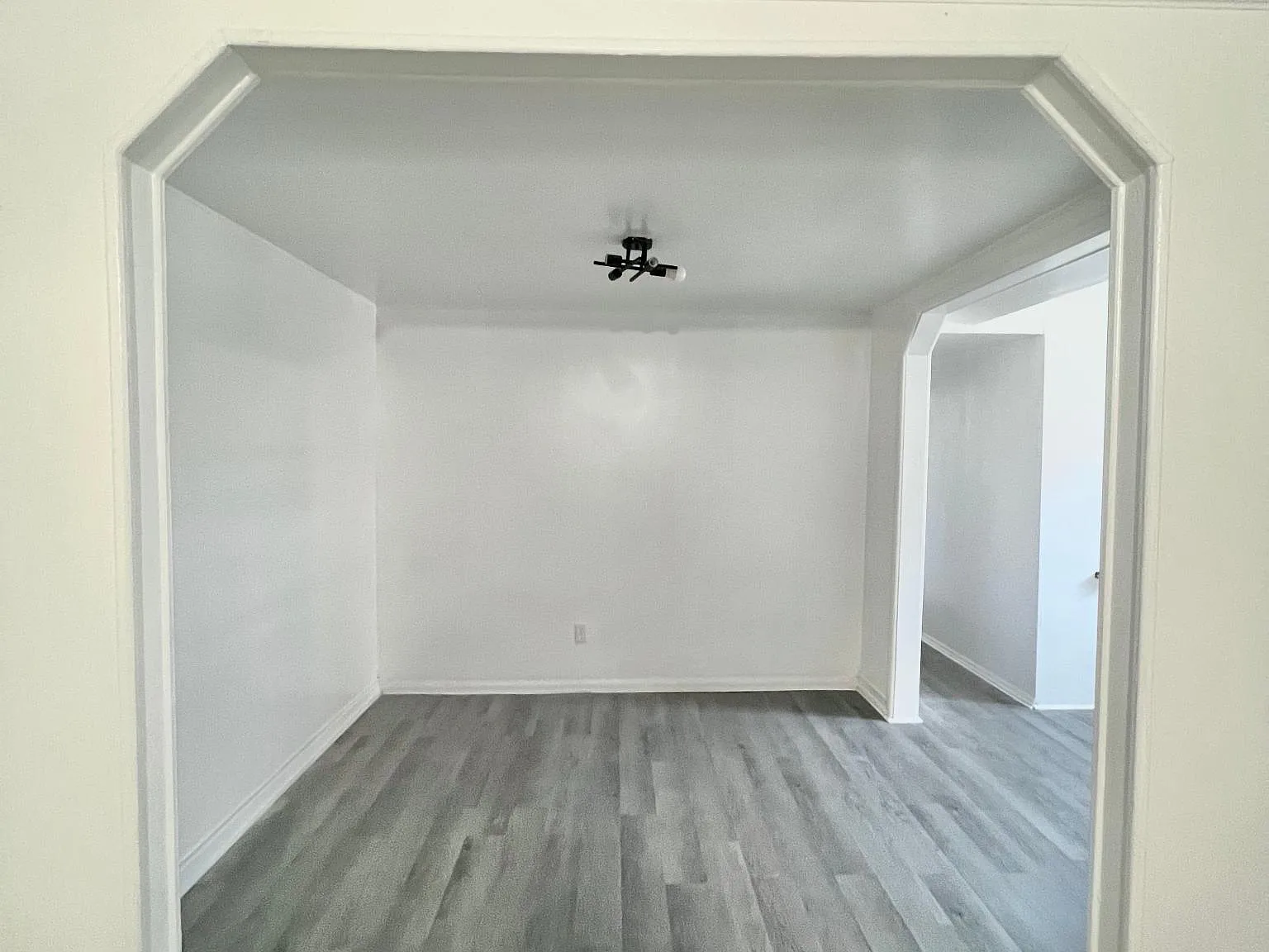 2 bed, 1200 sqft, $2,700 — Photo 3