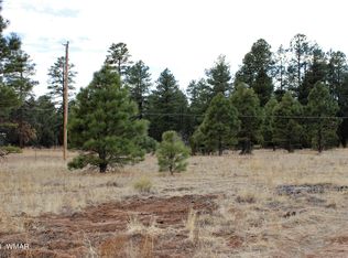 2812 State Highway 260, Overgaard, AZ 85933