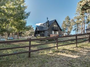 17 Fawn Rd, Bailey, CO 80421