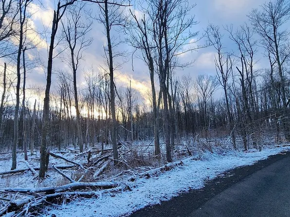 1704 Sec #3, Coolbaugh Township, PA 18466