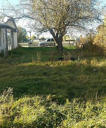 5th image of 7095 County Road 13