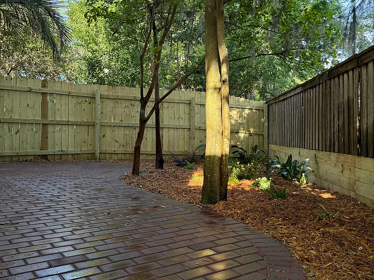 Plenty of shade in the backyard.