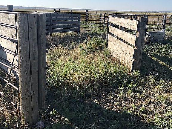 Small corral