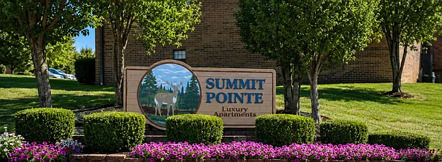 Summit Pointe — Photo 3