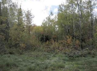 Three Ten Rd LOT 29, Mercer, WI 54547