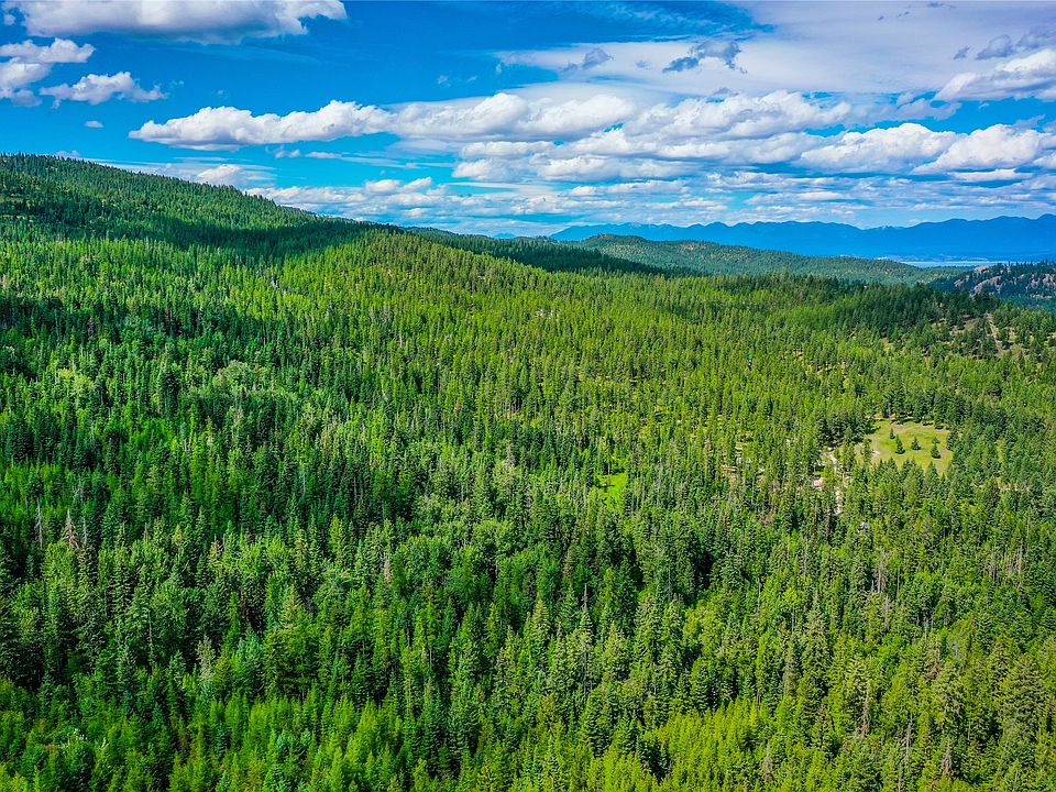 Peach Park Loop, Rollins, MT 59931 Zillow