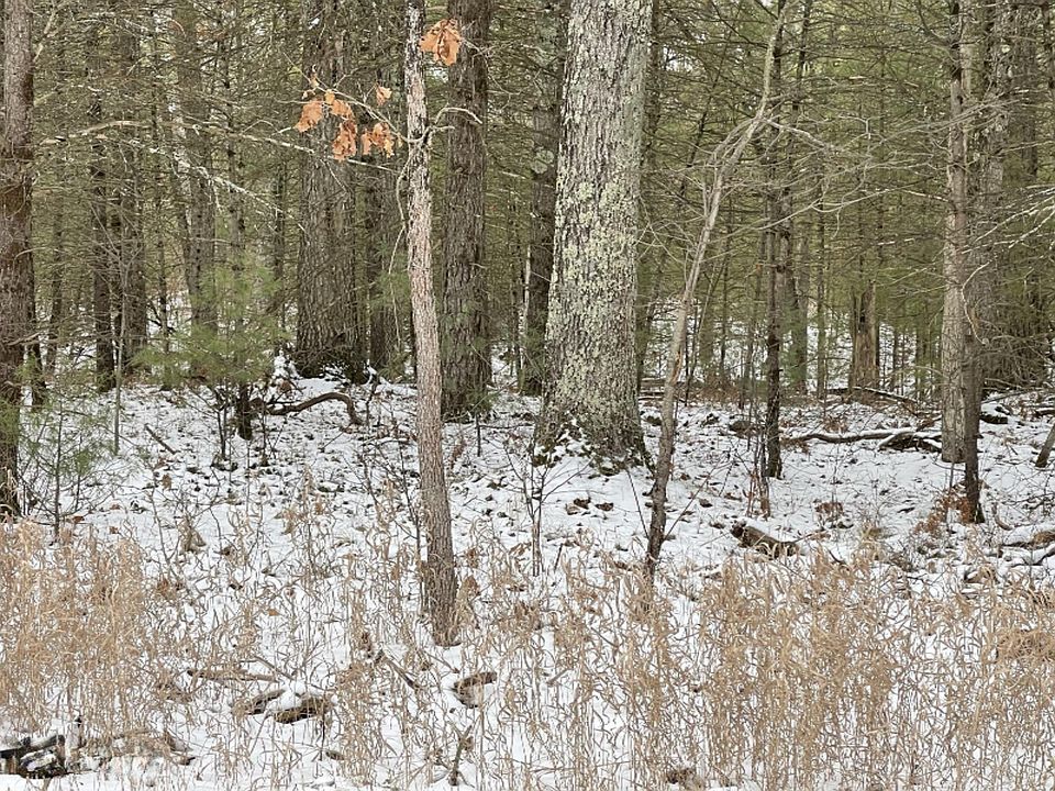 2nd image of 37 M