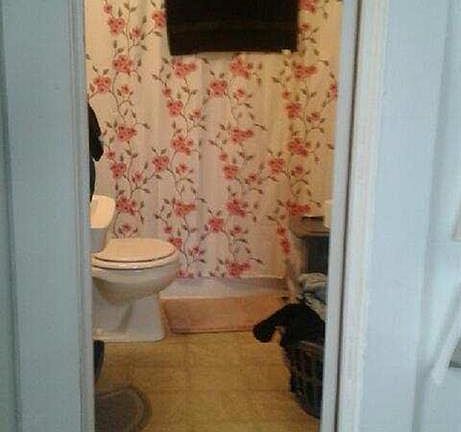 5th image of 212 S Grant St APT 3