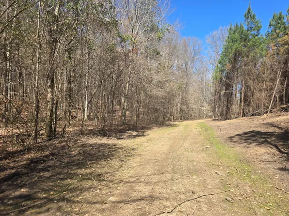 0 Highway 82 E, Centreville, AL 35042
