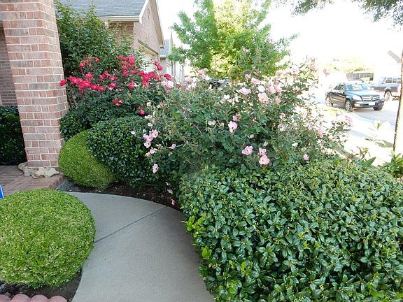 Front Entry Garden