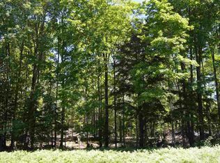 PARCEL D Bundy Rd, Mancelona, MI 49659