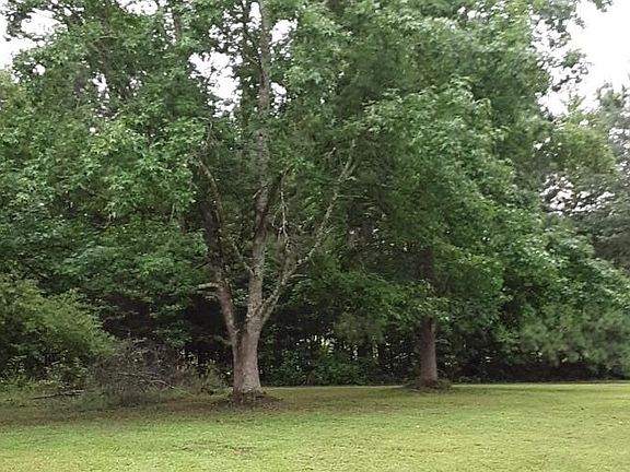 5th image of 130 Duck Pond Rd