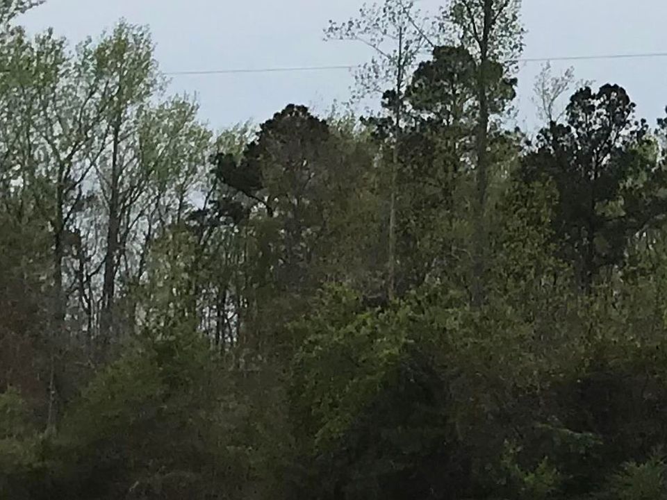 2nd image of TBD Highway 9 #Corner of Springfield Church Rd & Hwy 9