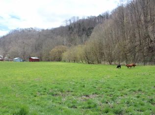 1253 Fairview Rd, Duffield, VA 24244